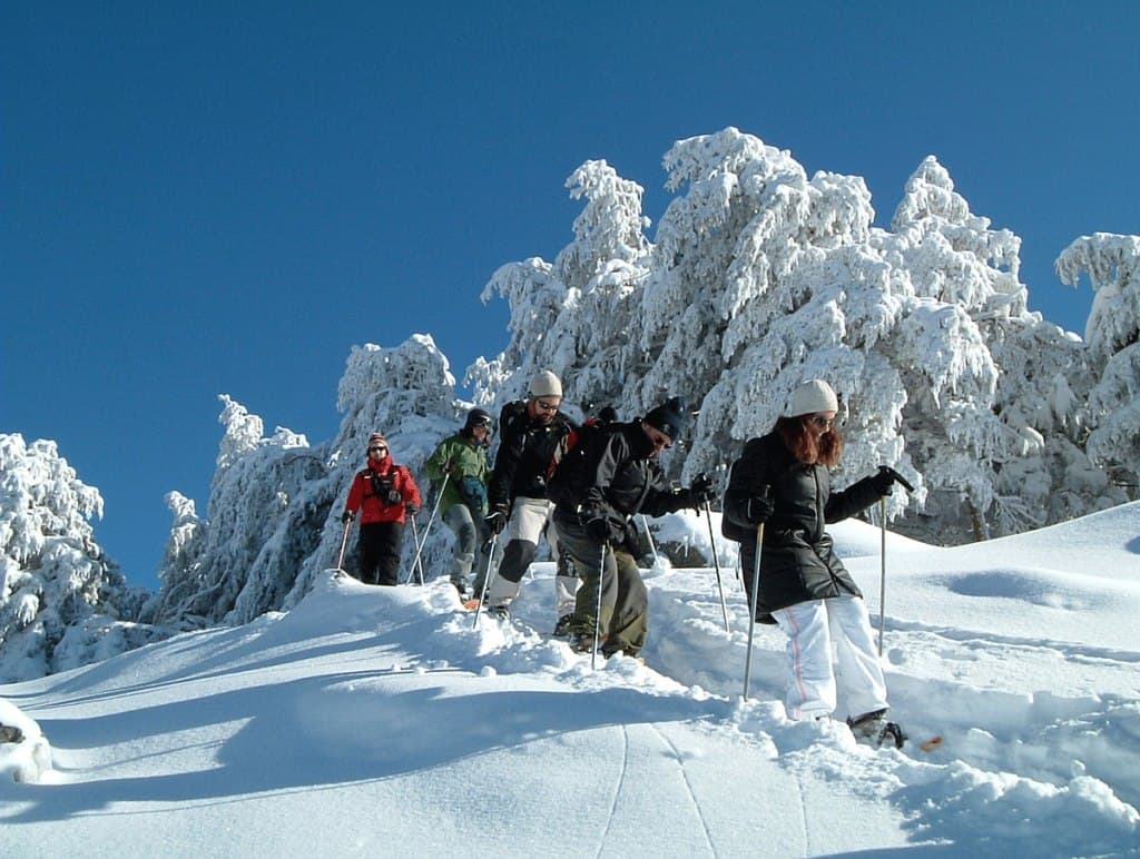 Ruta con raquetas de nieve