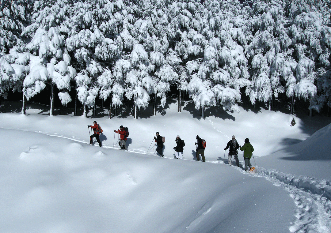 Ascensión con raquetas de nieve
