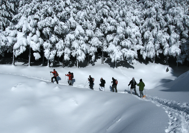 Ruta con raquetas de nieve