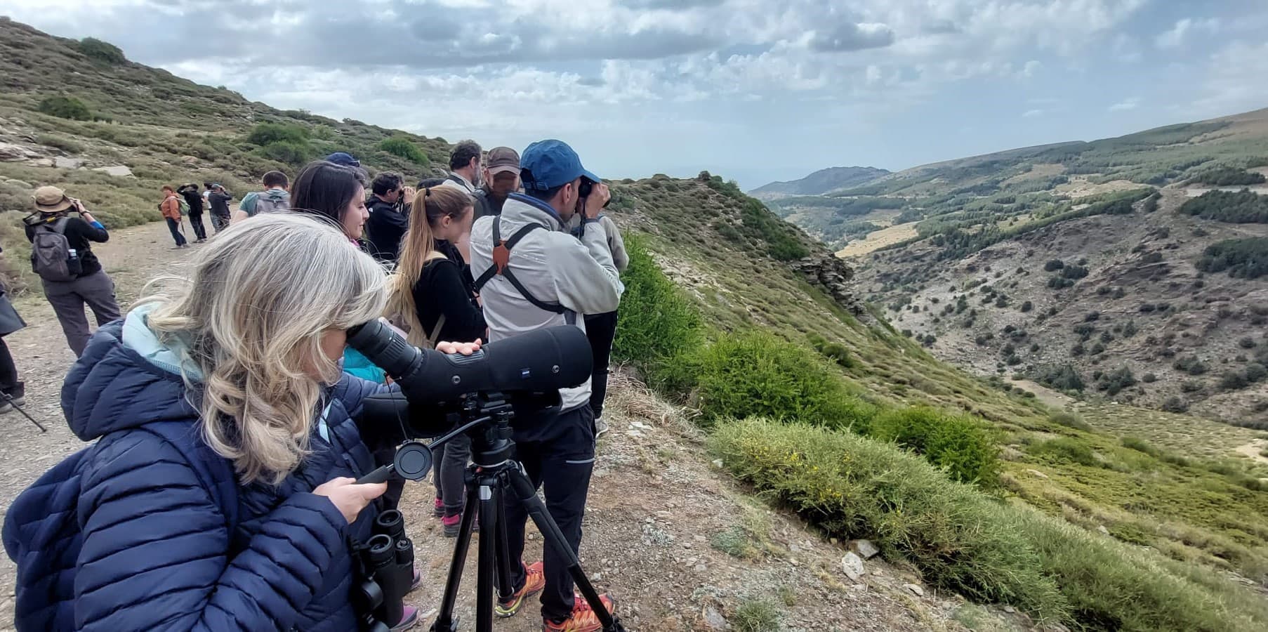 Ruta Avistamiento de Aves en Sierra Nevada